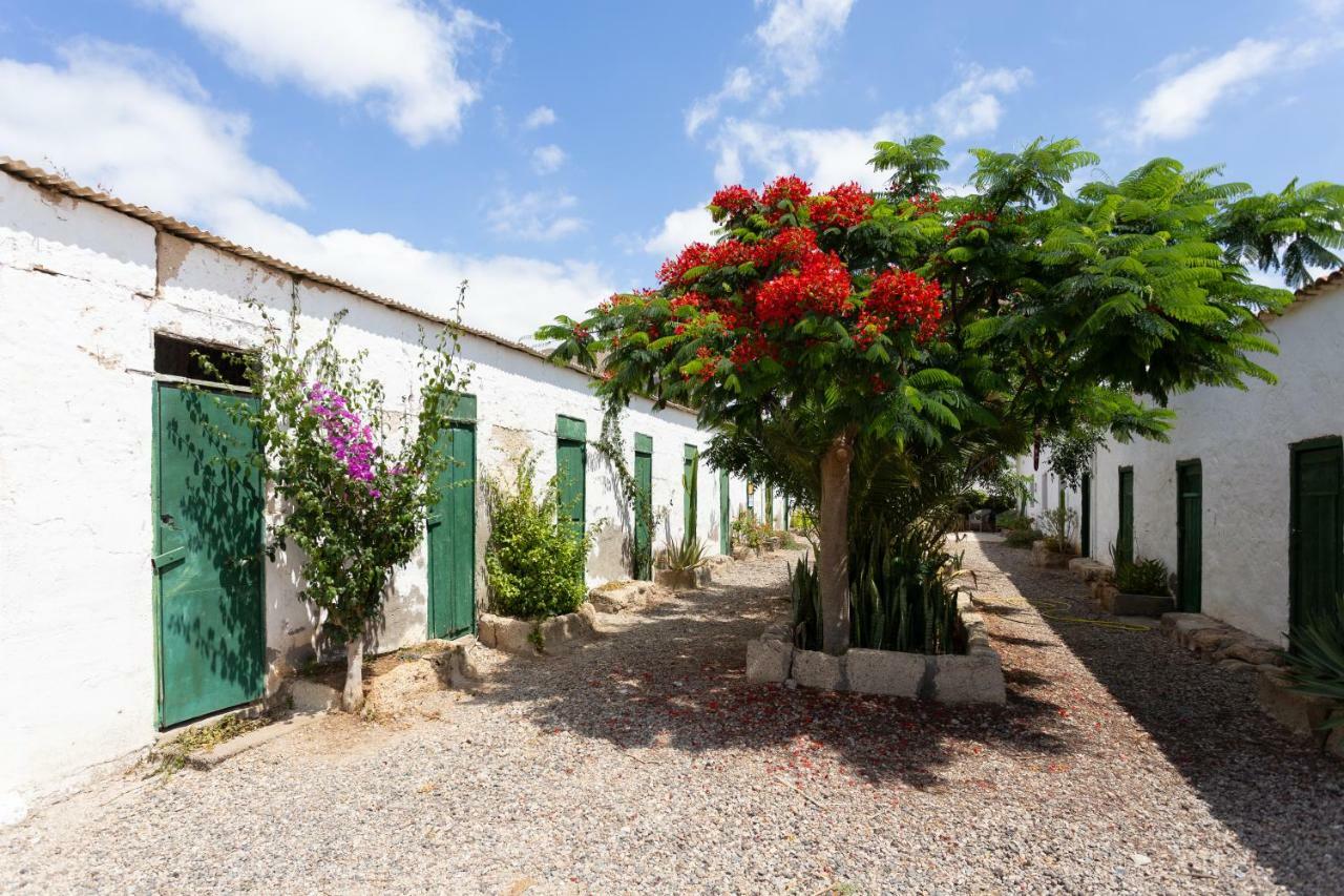 Casa Maria - Caserio De Guaza Palm-mar Zewnętrze zdjęcie